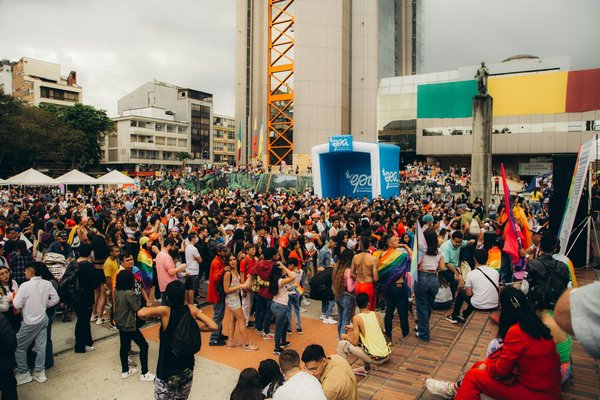 Trouvez la meilleure garde pour chats sur mesure dans le 95